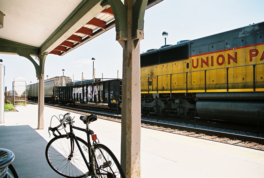 Harlem Metra and Cta station by jhonywallker