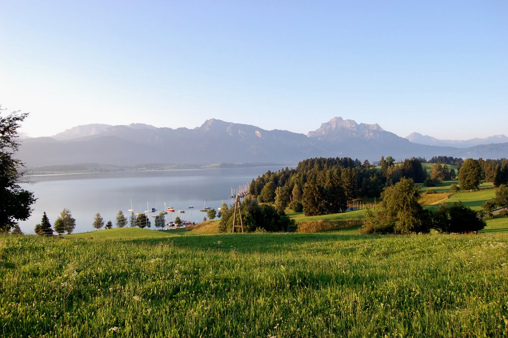 Dietringen, Blick auf den Forggensee by Rene68