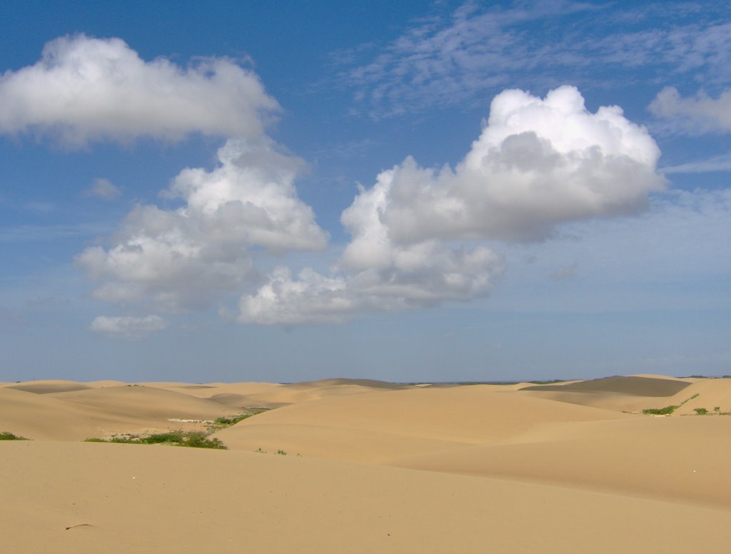 Medanos de Coro by Junior Miller