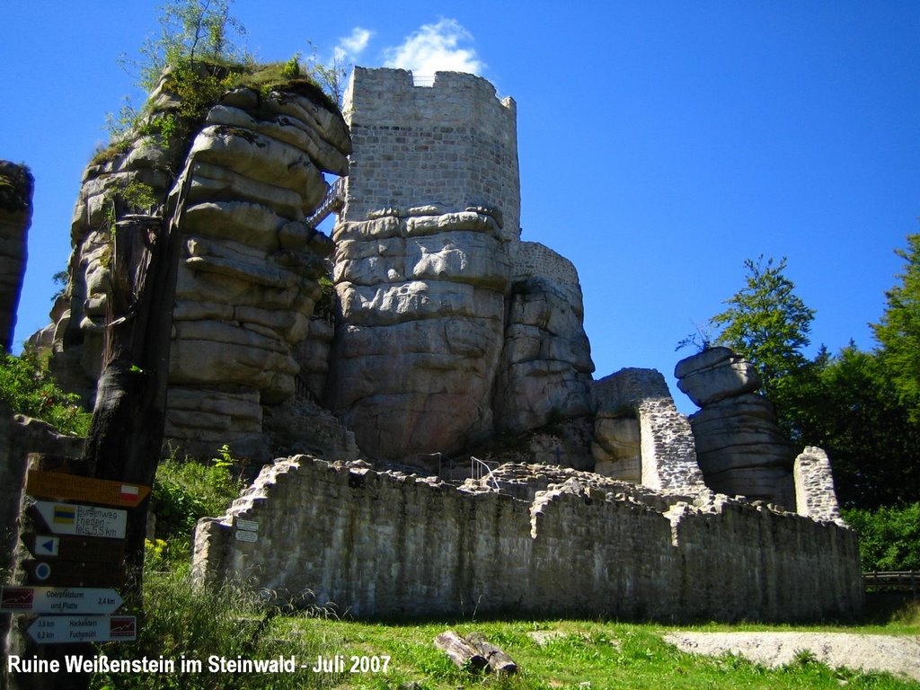 Ruine Weißenstein im Steinwald by Friedrich IV