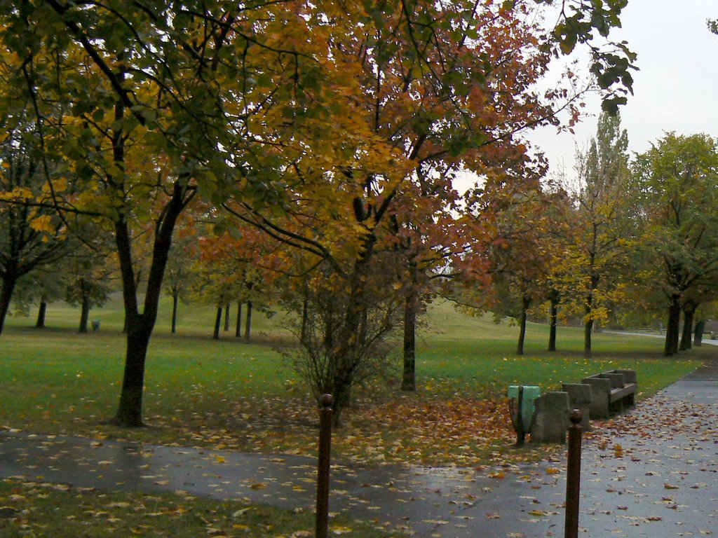 Kelenföldi Bikás park by ntussy