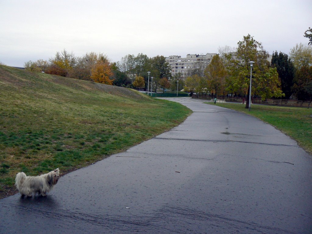 Kelenföldi Bikás park by ntussy