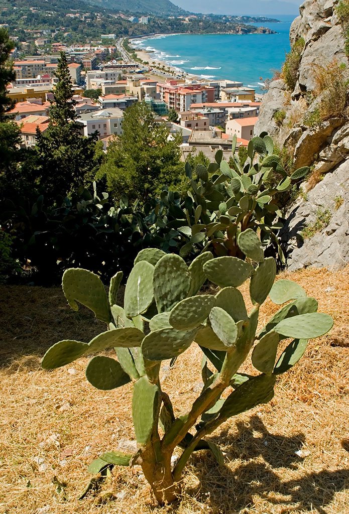 90015 Cefalù, Province of Palermo, Italy by Rumpelstiltskin