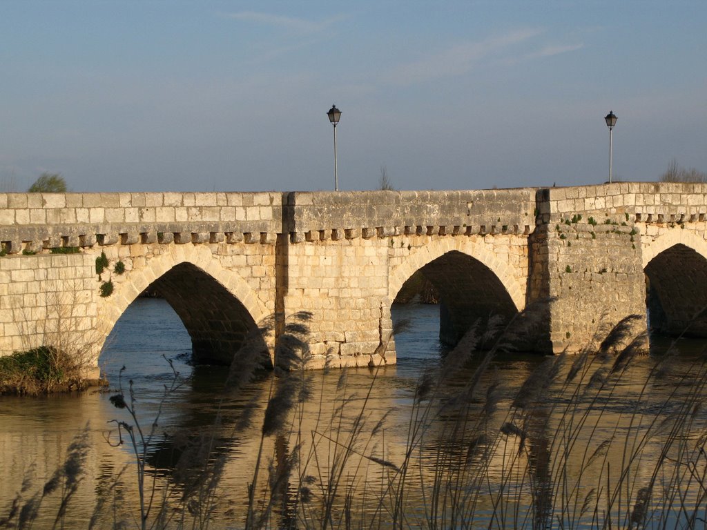 Puente Simancas by Nanesse