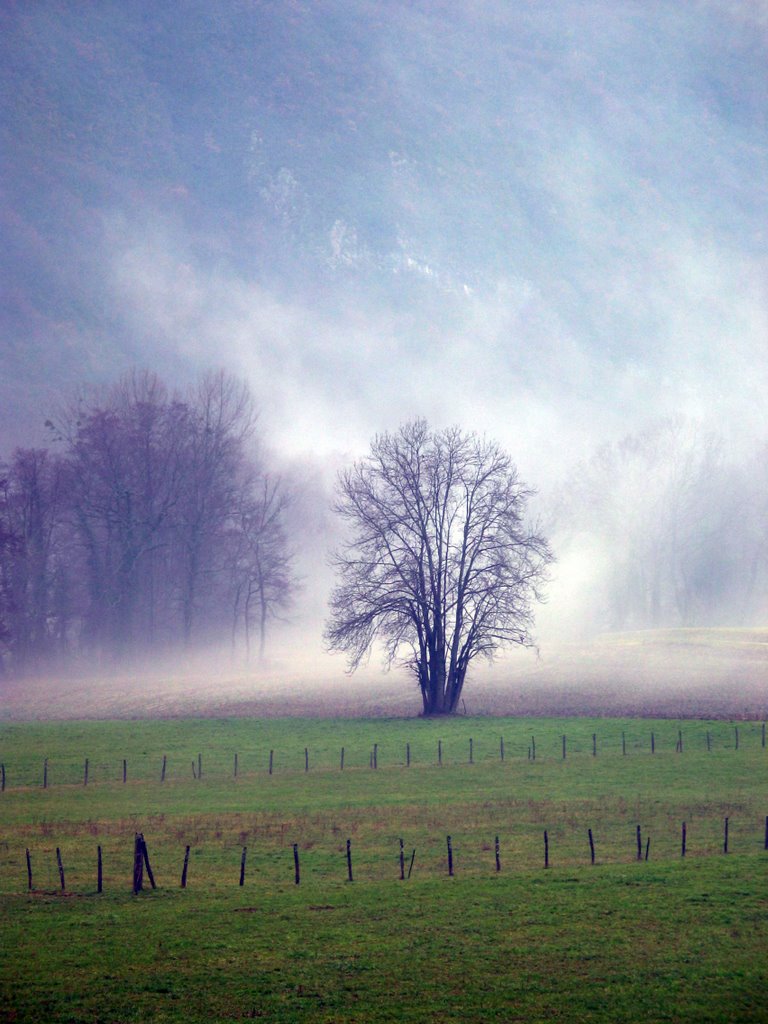 Matin Brumeux la Biolle by Romain Forestier