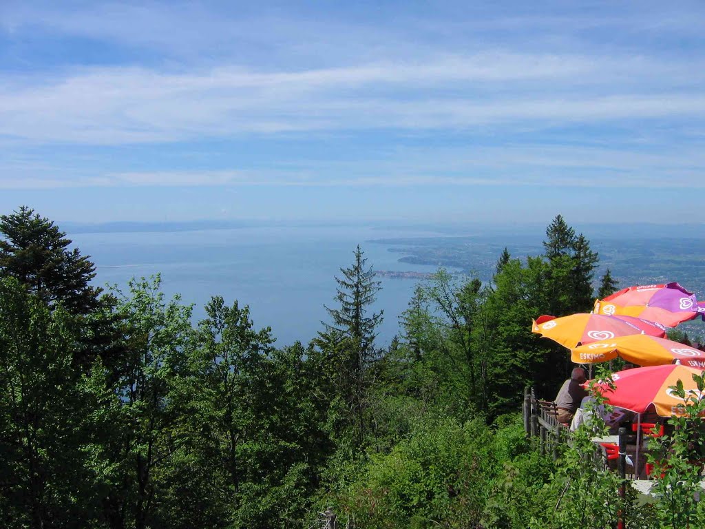 Blick vom Pfänder über den Bodensee by Holger Ohlig