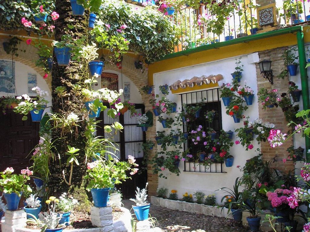 Patio calle Pintor Bermejo nº 1 by Mike Chapel