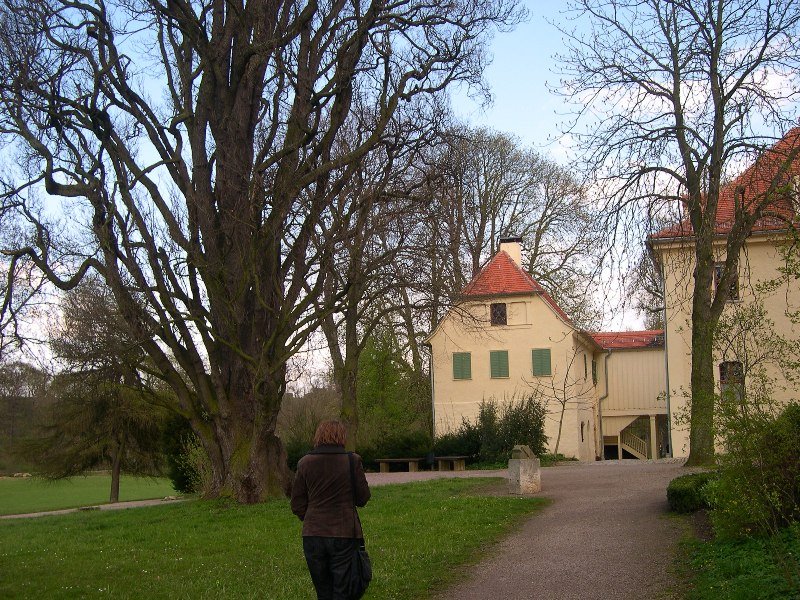 Schlosspark Tiefurt by IJlie