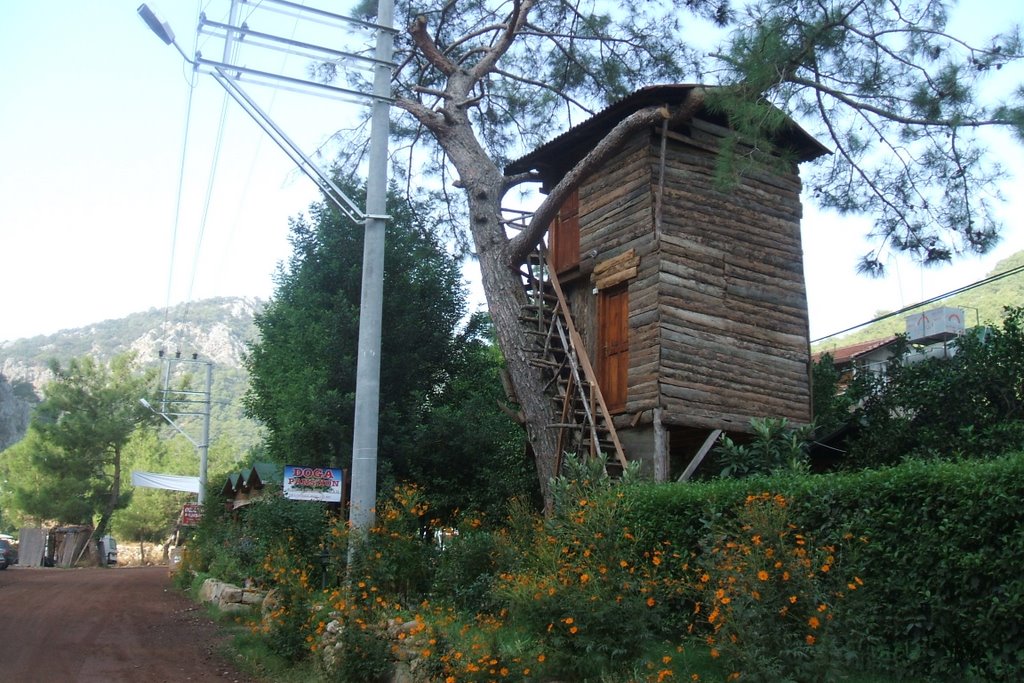 07350 Yazır/Kumluca/Antalya, Turkey by Levent Yalçın