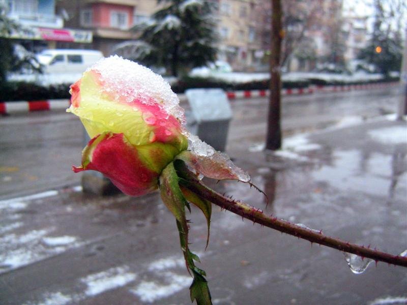 Akşehir, Konya, Turkey by ramazanbeyoglu