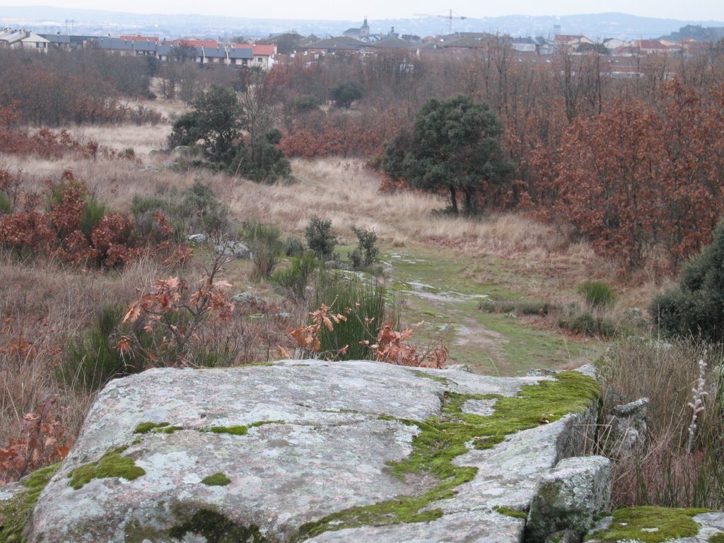 Campo ( por ahora) by Jesús de Prado Álvarez