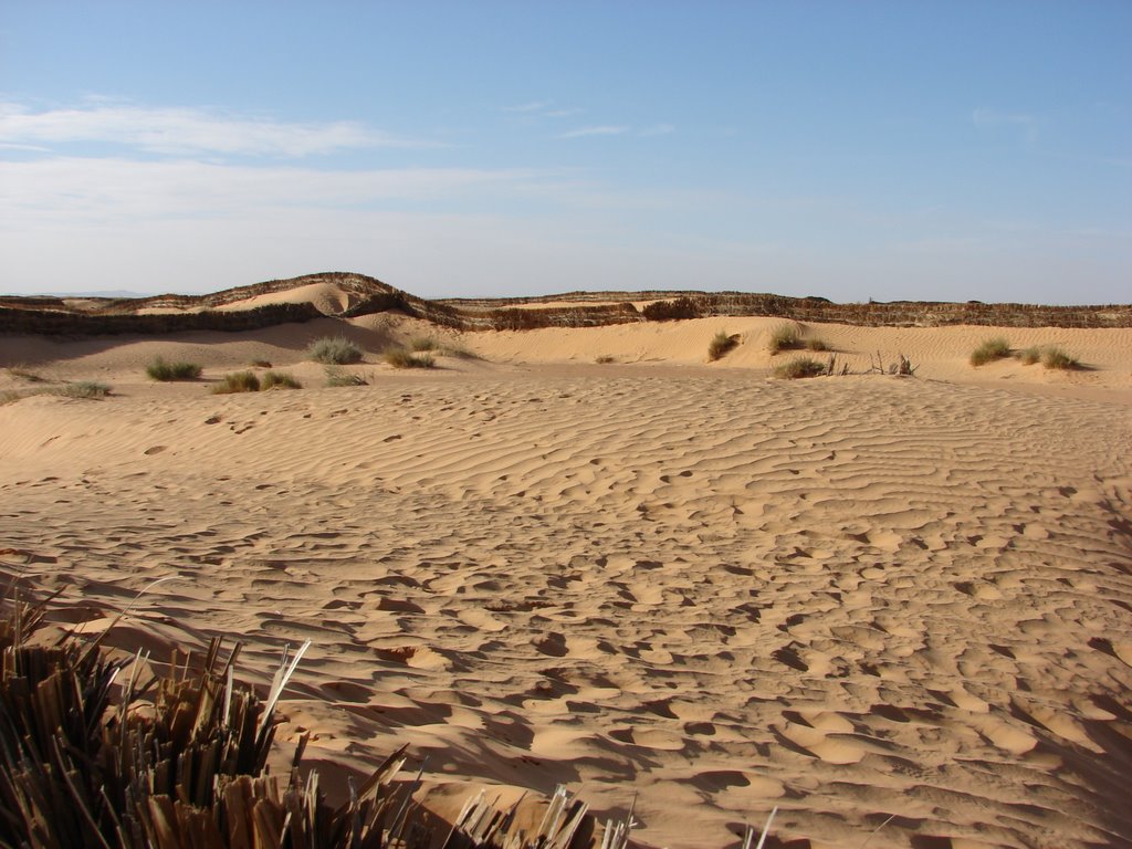 Sable du désert by gcarles