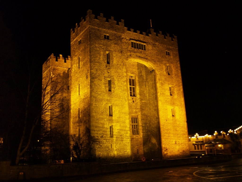 Bunratty castle by jay hutchin