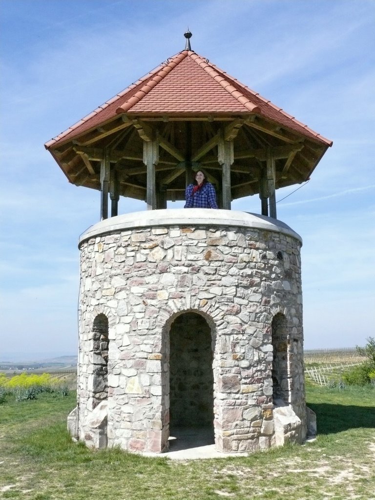 Turm auf dem Fels by Wutz