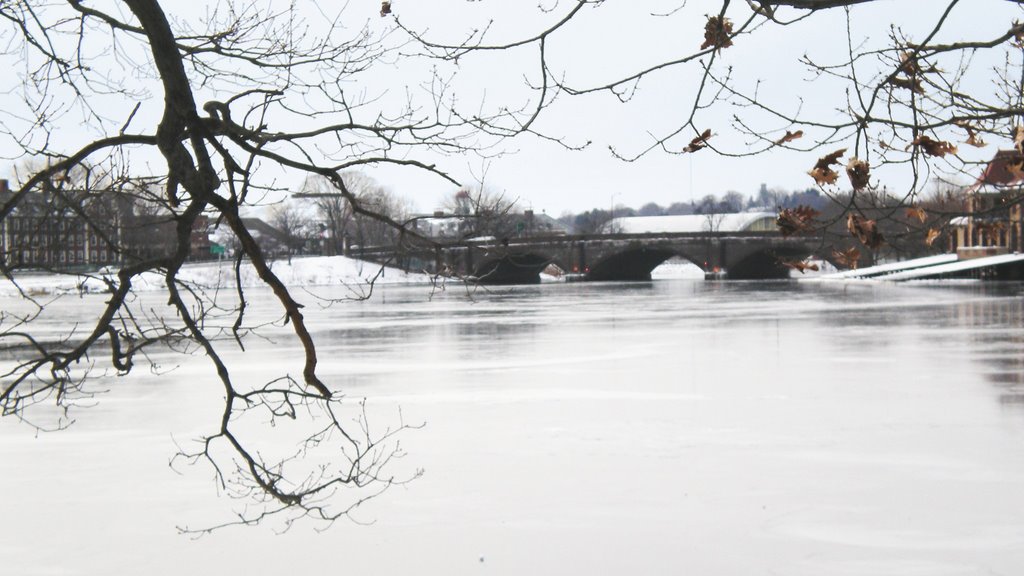 Looking Up the Charles River (Frozen in Winter) January 2008 by nedfarrar