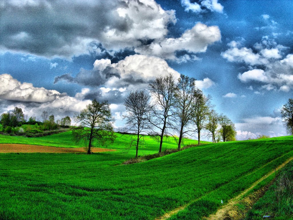 Primavera in campagna by s.silvia