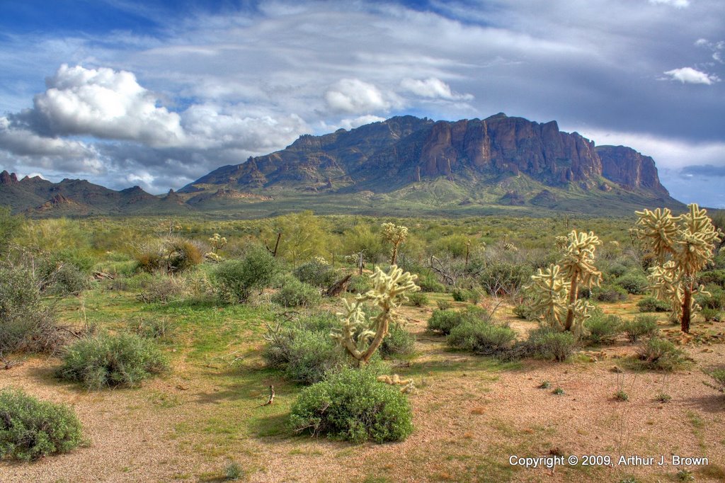 The Superstition Mountains by Art Brown