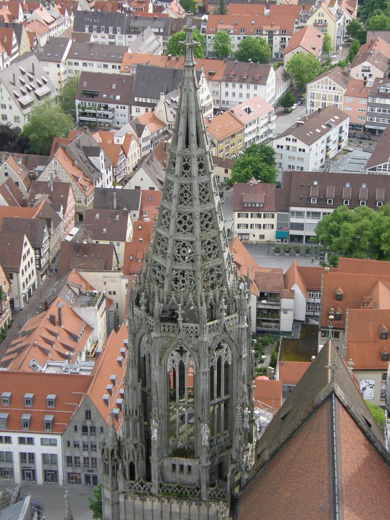 Blick von Ulmer Münster, Ulm, Deutschland by kaarvea