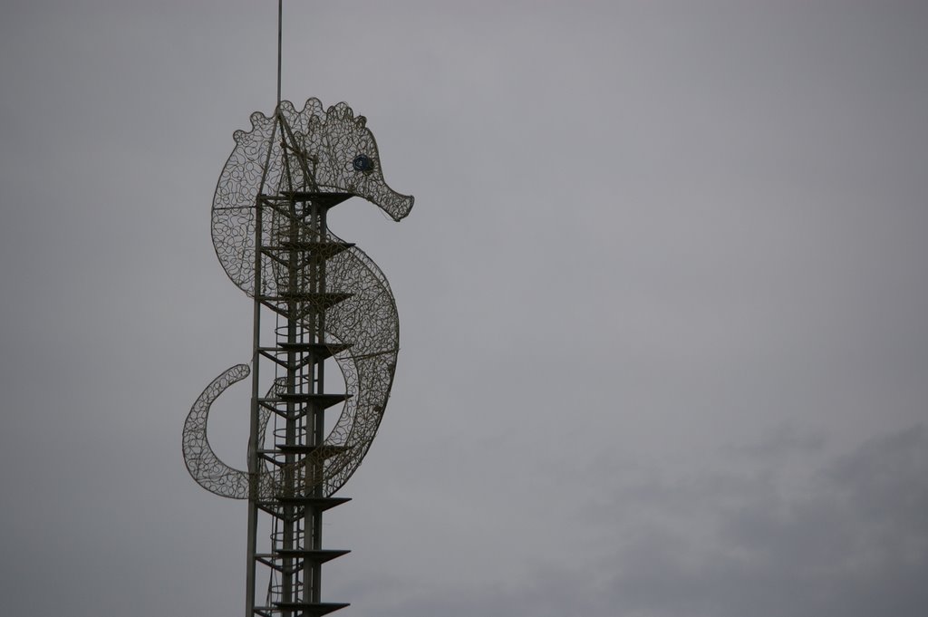 Caballito de mar by Lorenzo el Caribeño