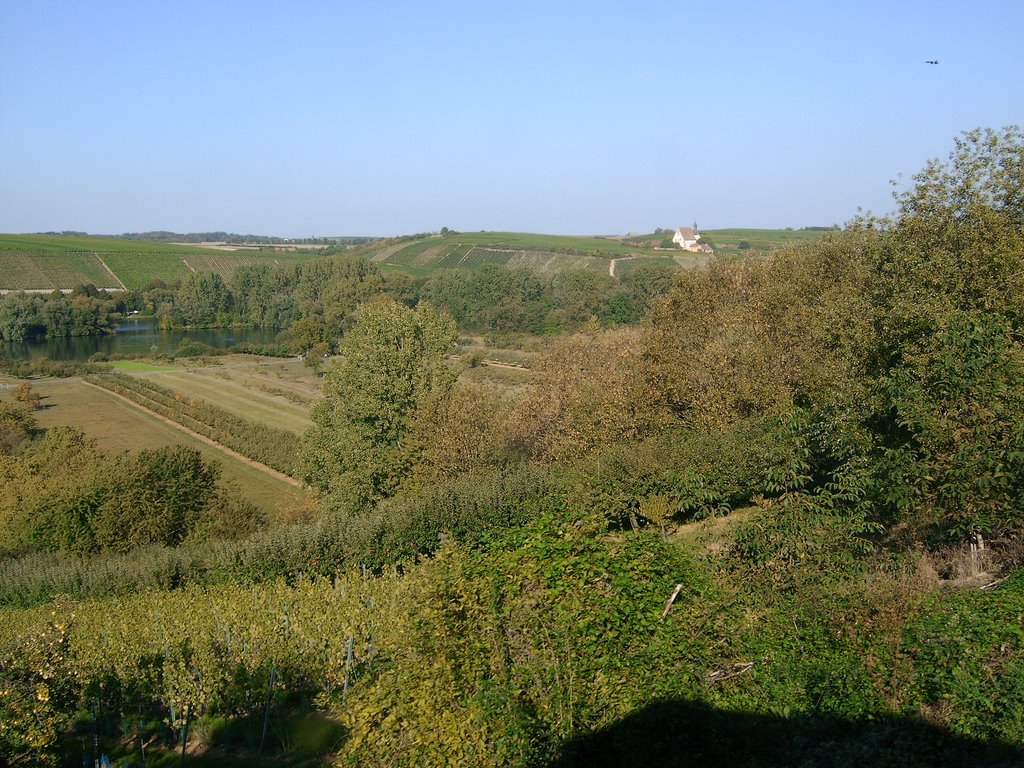 "Weinlandschaft" bei Volkach ( St. Maria im Weingarten / St. Mary In The Wineyard ) by Bikertyp