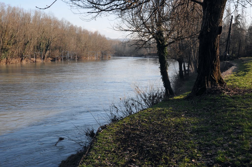 Fiume Reno al "Lido" by piero dalmonte