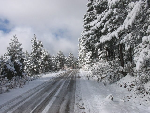 Carretera al camping by BRONCHALES