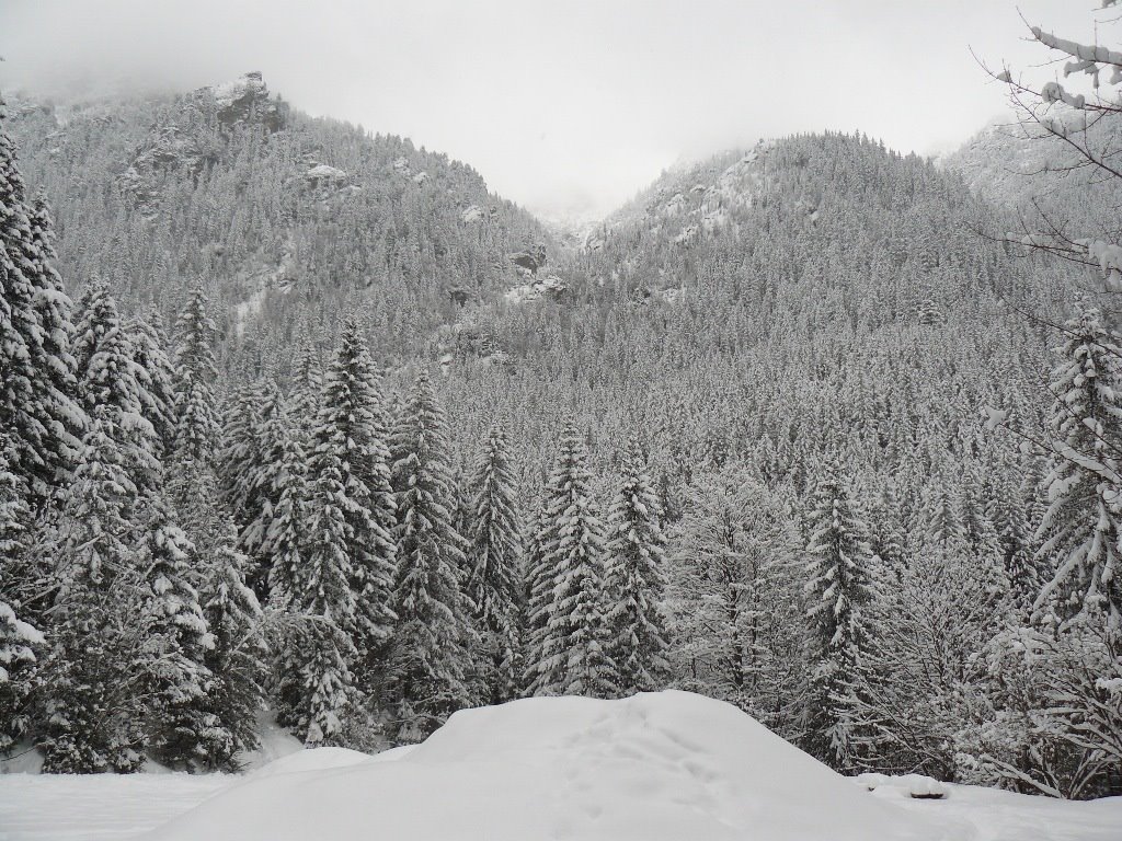 Polana w okolicach Wodogrzmotów Mickiewicza (Clearing near Mickiewicza Waterfall) by qra