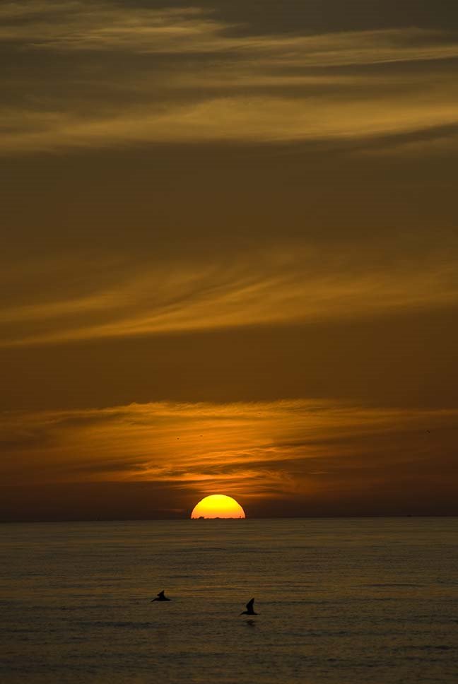 Fort De Soto Beach, St Petersburg by Graham Coates