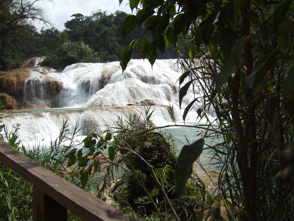 Site des cascades d'Agua Azul by gegemimi76