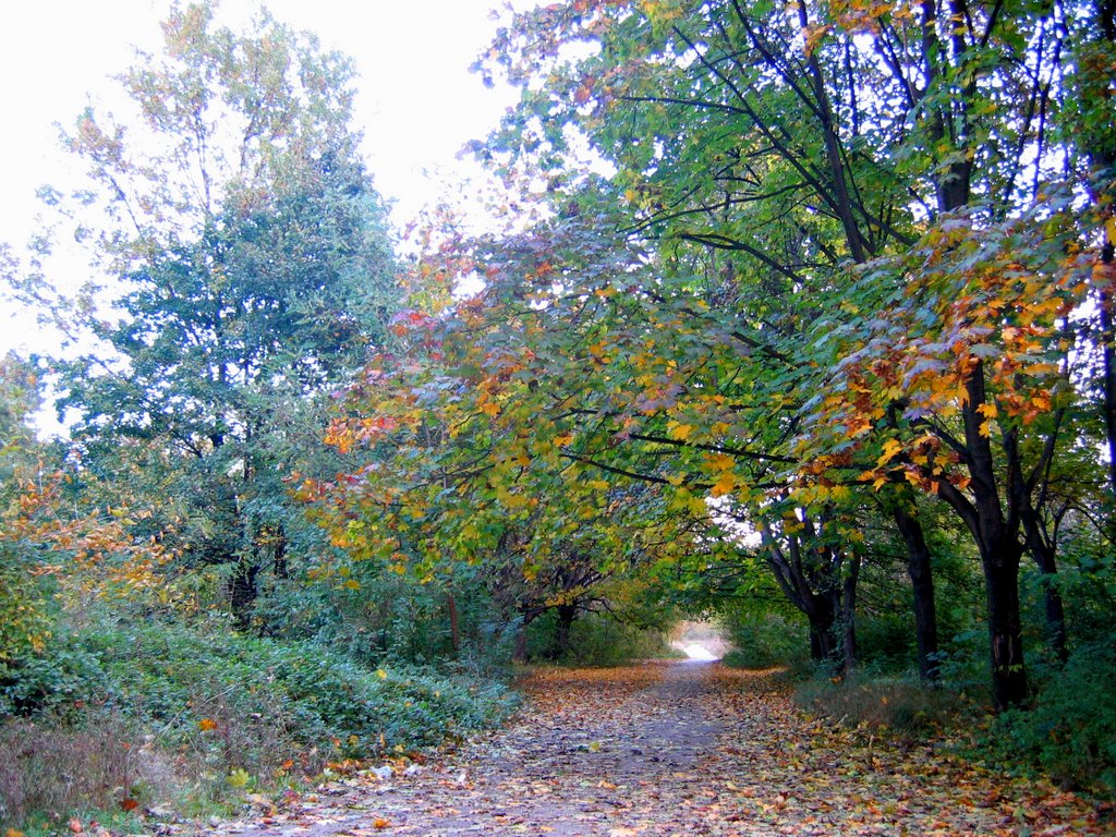 Park Greben kanal by Plamen Kochev