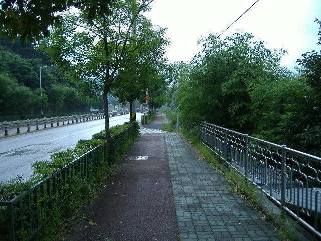 Way to Hanbat library by ennuyes