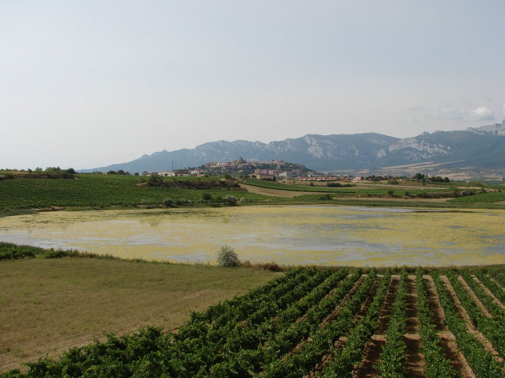 Laguna de Laguardia by Manuel Cárdenas Nadal