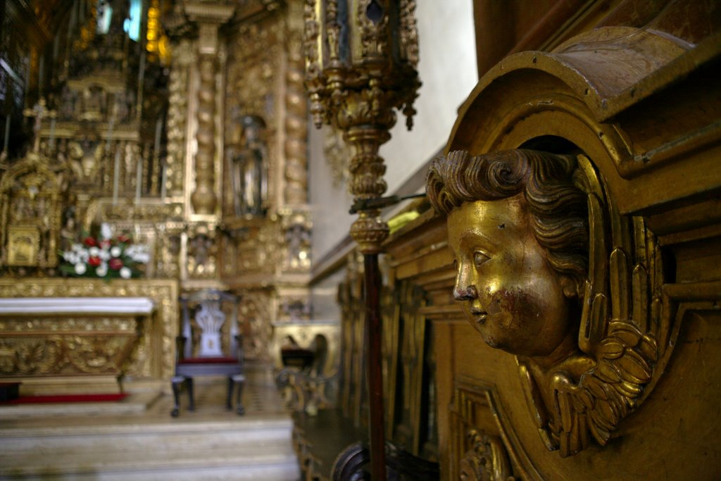 Igreja (de Nossa Senhora) do Carmo, Faro, Algarve, Portugal by Hans Sterkendries