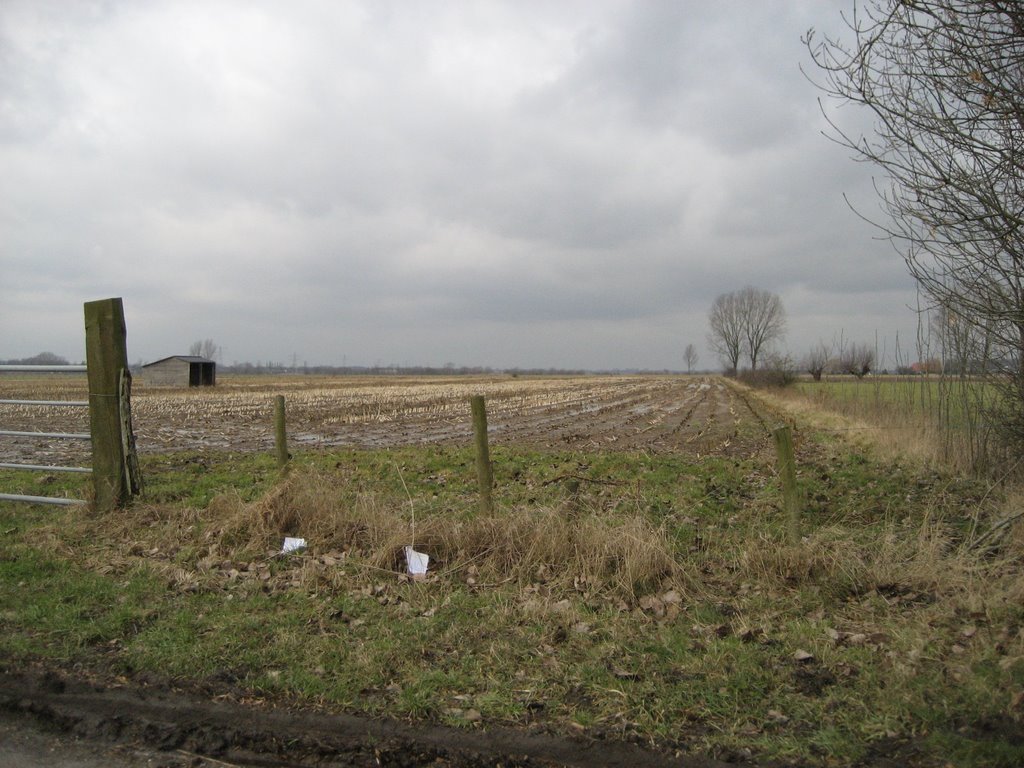 JP - Haarweg - Shed n gate by Jaap Peters