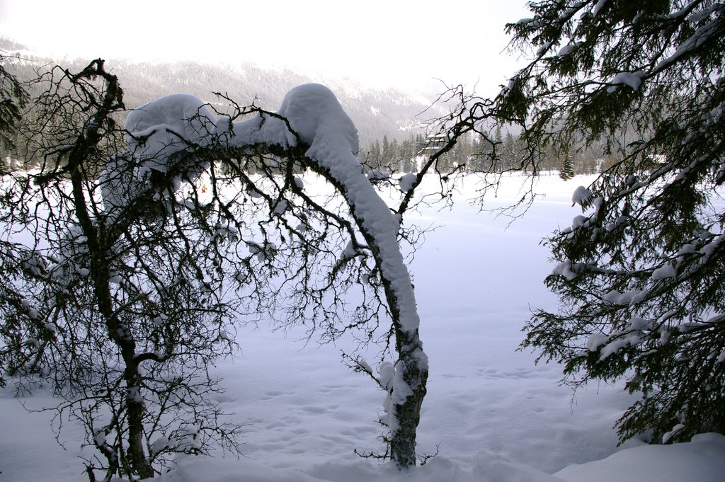 Prebersee by CorHofstede