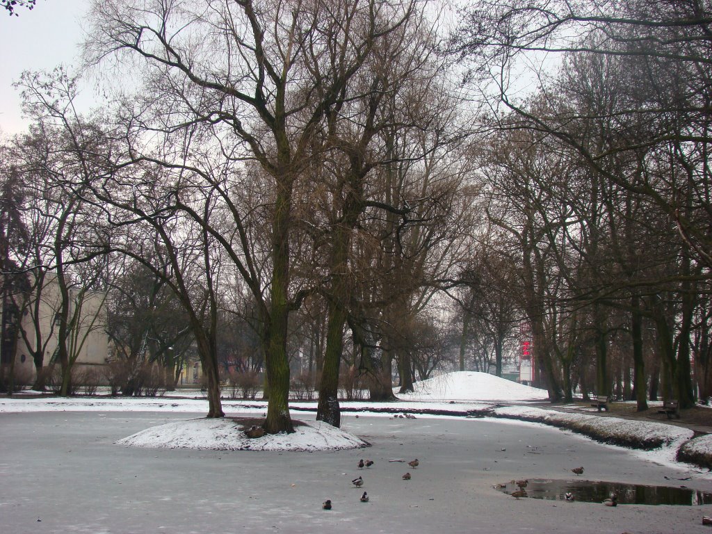 Park Sielanka zimą. by Witold Lewandowski