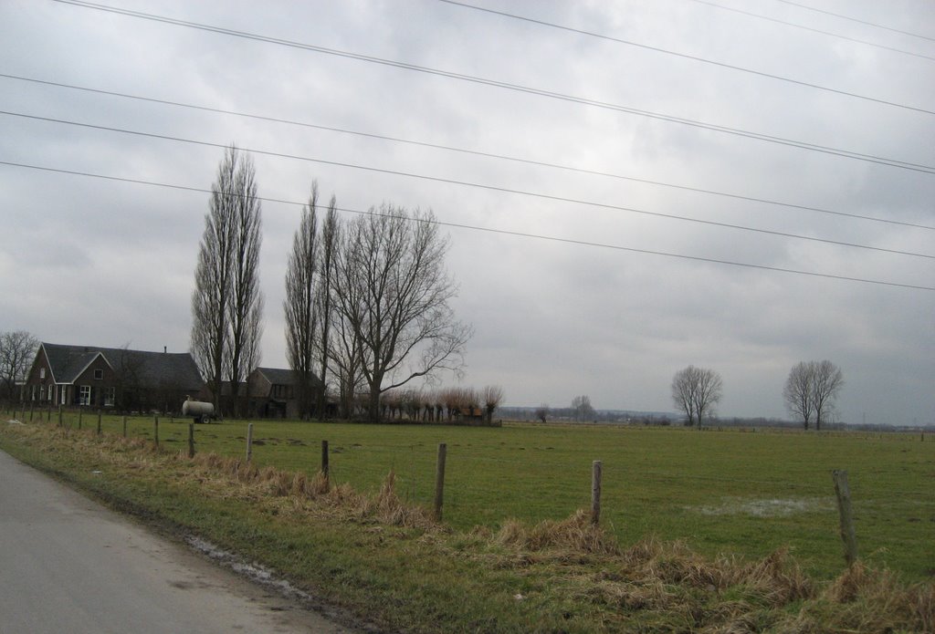 JP - Haarweg - View underneath high-voltage lines at farm by Jaap Peters