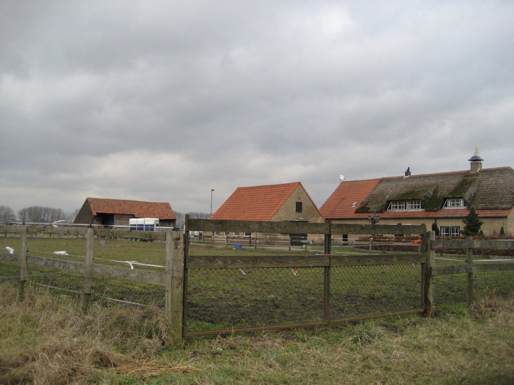 JP - Haarweg Wageningen - horsefarm by Jaap Peters