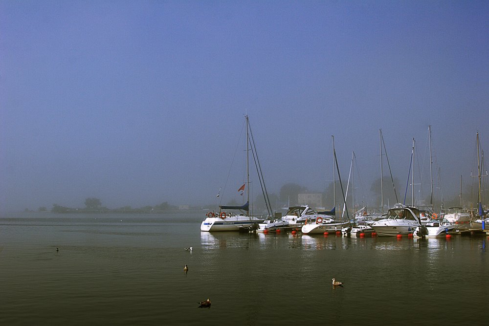 Jastarnia, Poland by Krzyg