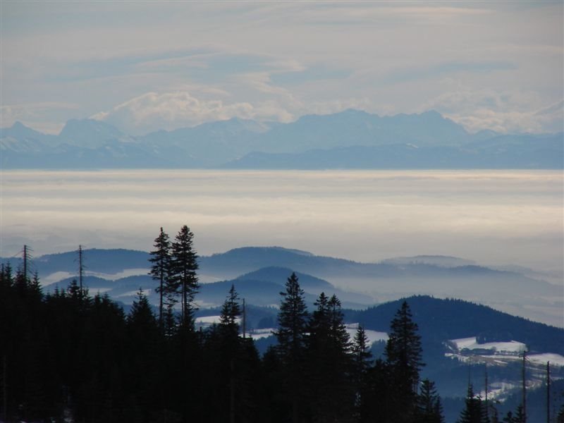 Blick auf die Alpen vom Dreisesselberg by Plumperquatsch