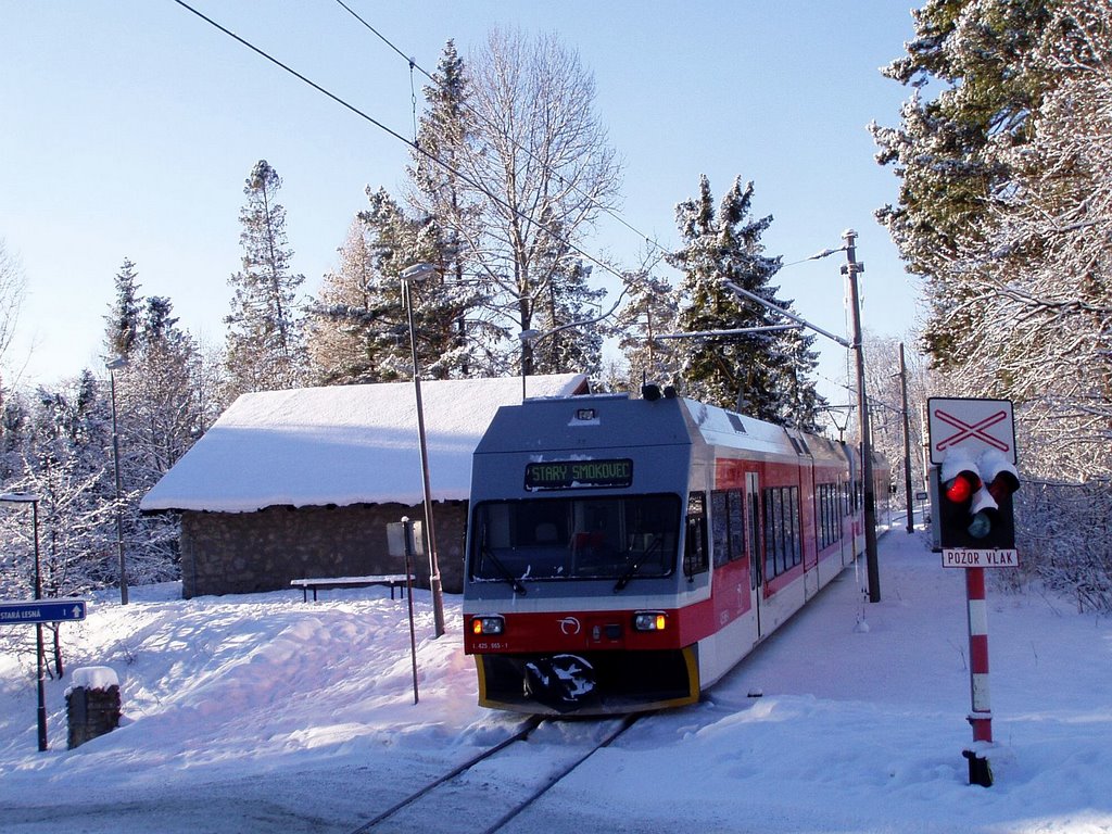 Train carrying skiers to the mountains by s_shugarov