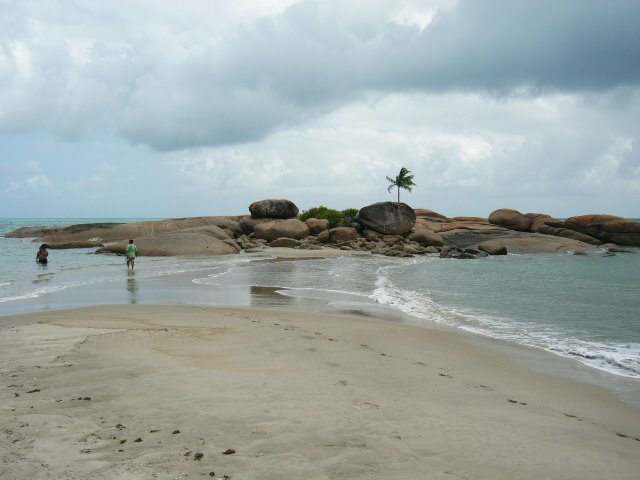 Ilha do Coqueiro - Praia do Porto - Barreiros - PE. by Antônio Carlos de Ol…