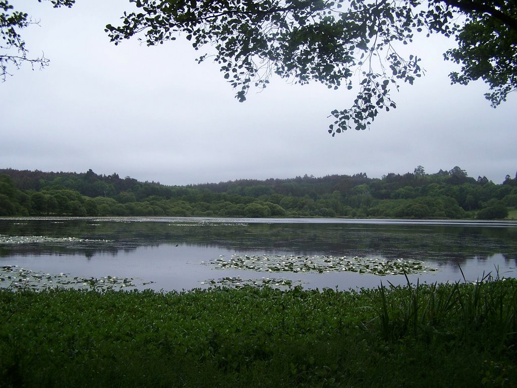 Laguna de Sobrado dos Monxes. by jetxea