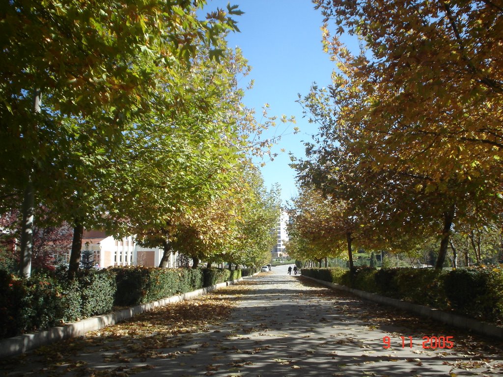 Anadolu University - Eskişehir by ridvan tuncel