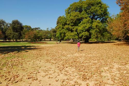 Melbourne QV Park by ChinaBobo