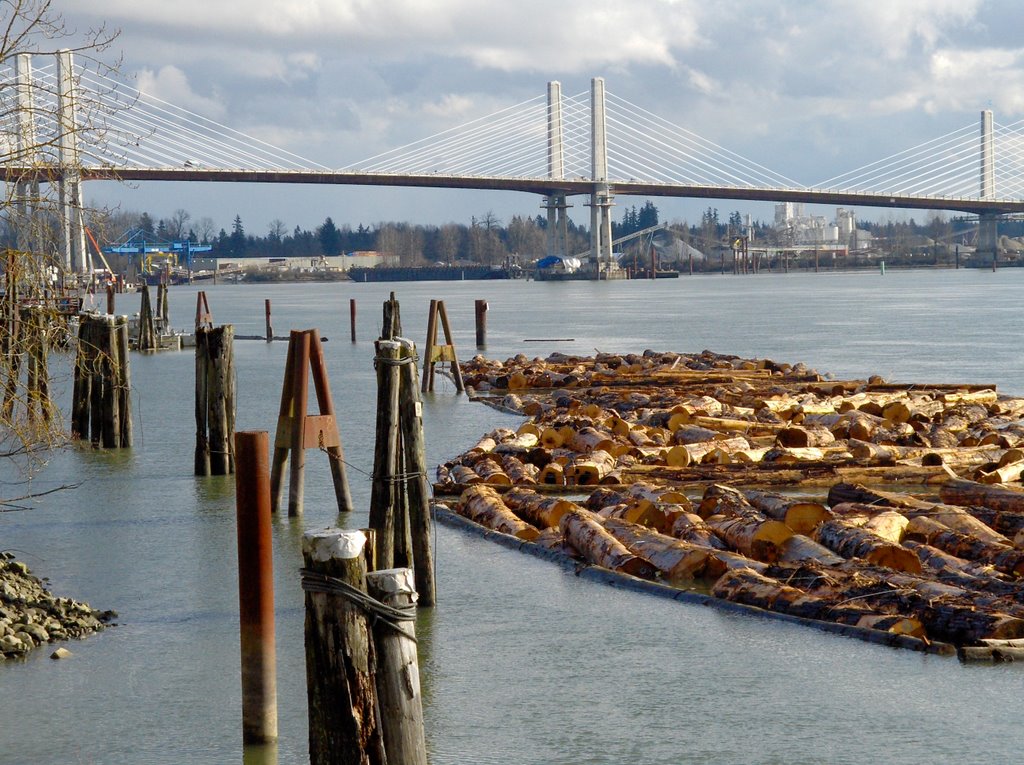 New Golden Ears bridge, almost finished. by wrighthw