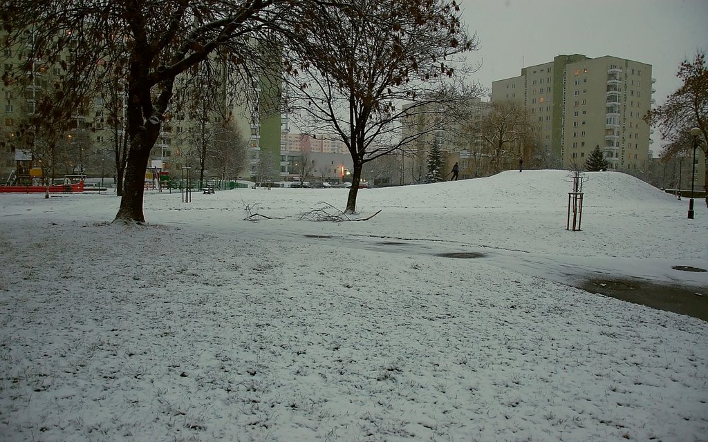 Służew nad Dolinką w zimowej scenerii by Zdzisław Adam Niedźw…