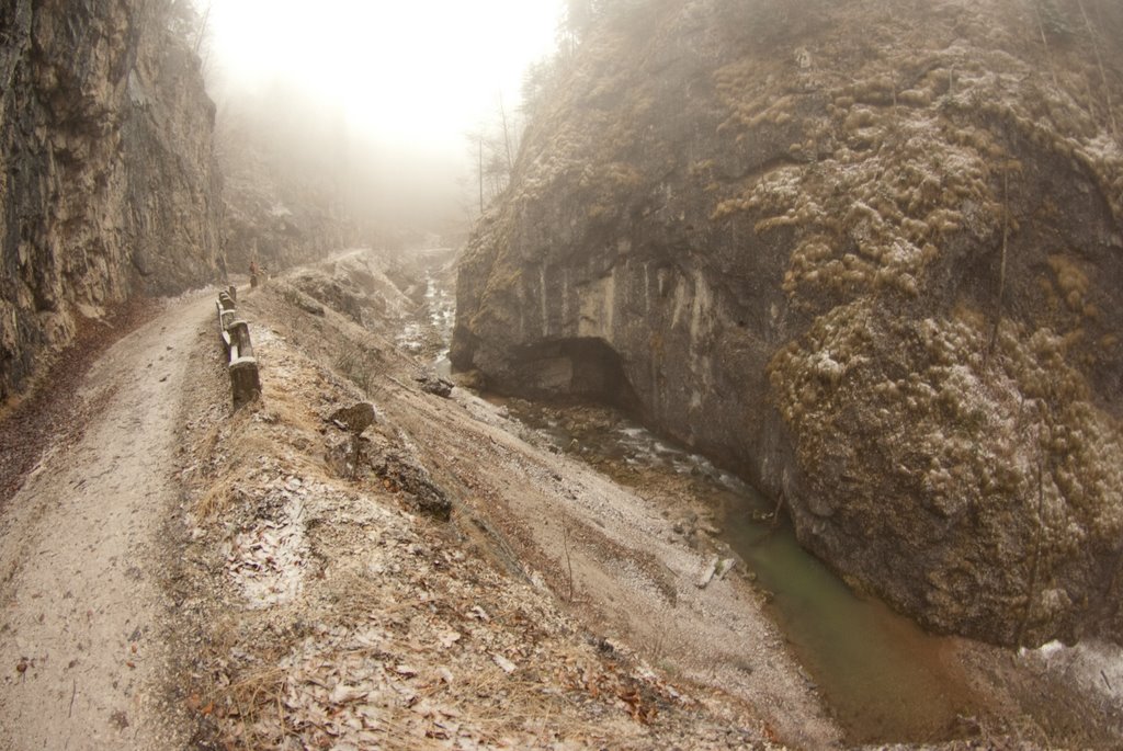 Pietroasa, Romania by László Márton Valyuc…