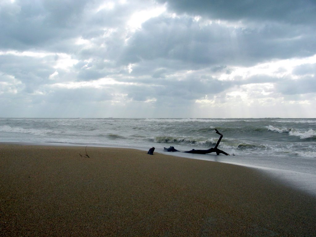 Tronco arenato (in mare, è un pericolo per la navigazione) by Bepix (Giuseppe de Giacometti)