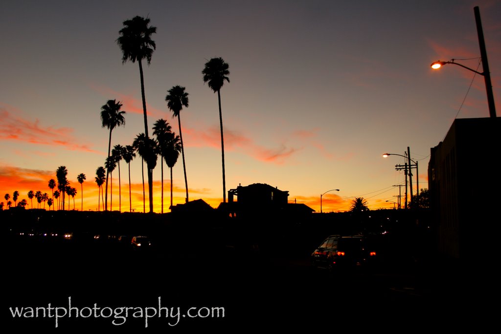 San Pedro Sunset by Wynter&Bob